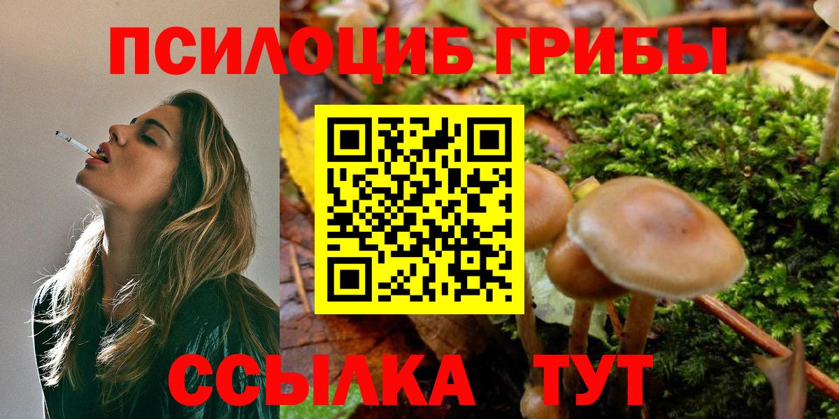 Шелехов  Псилоцибиновые грибы GOLDEN TEACHER  что такое наркотик  Вход с VPN 